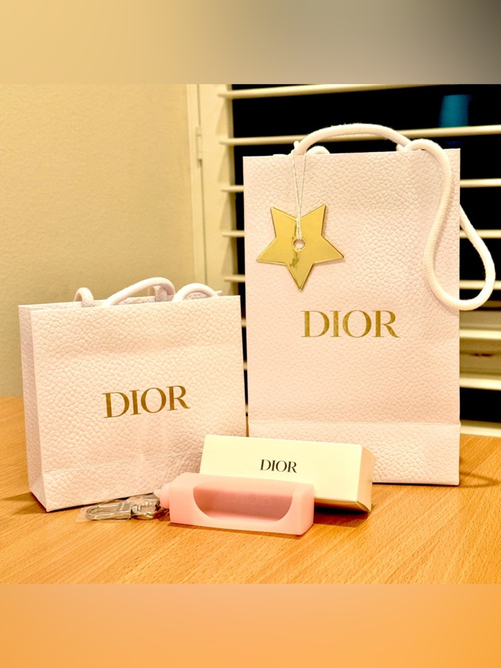Authentic Dior Boutique Bags Set + Star Charm + Dior Addict Pink Lip Case w/ Box